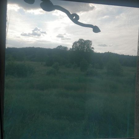Ostoja Apartment Bialowieza Luaran gambar