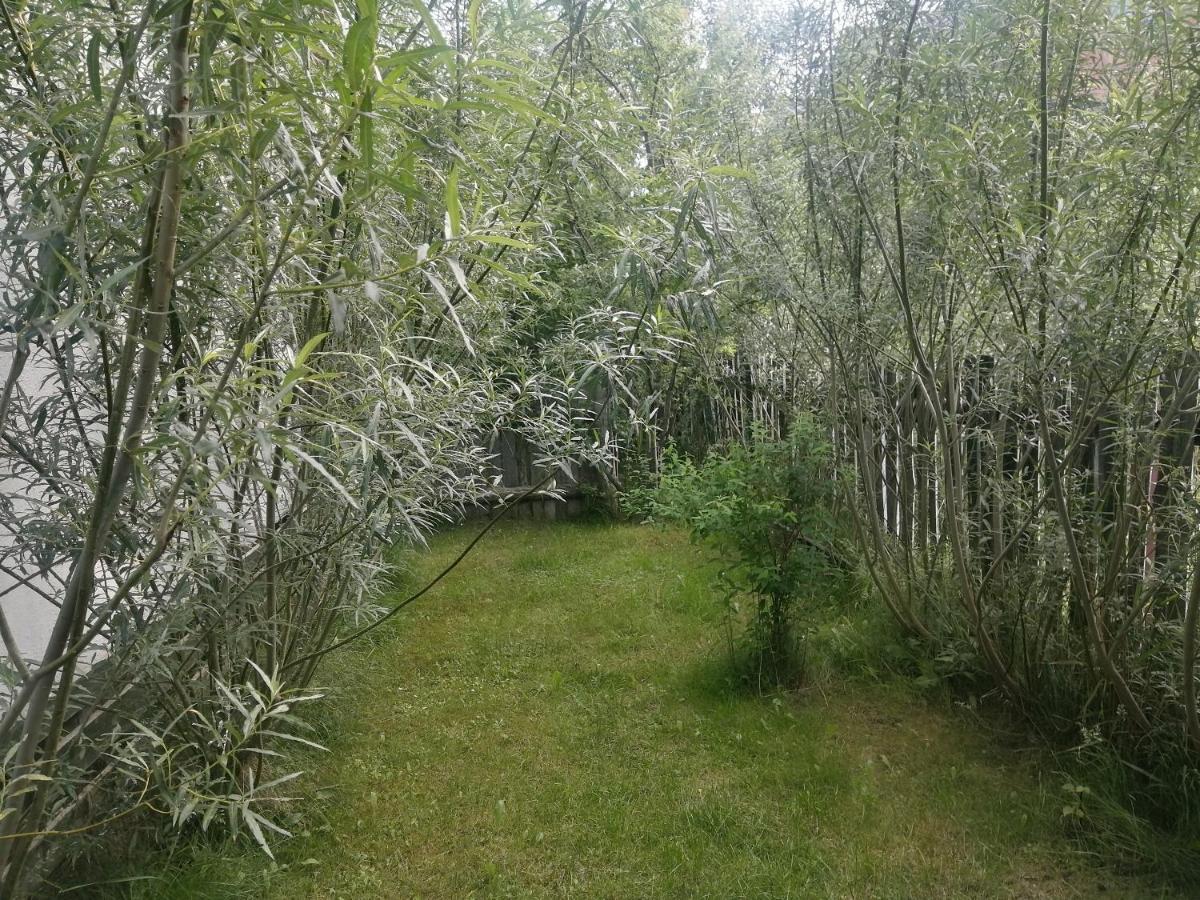 Ostoja Apartment Bialowieza Luaran gambar