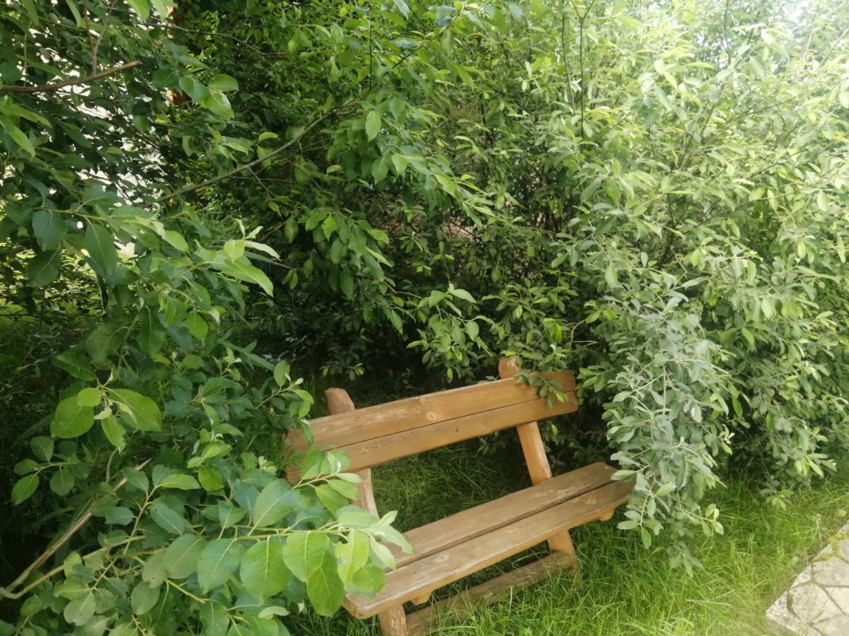 Ostoja Apartment Bialowieza Luaran gambar