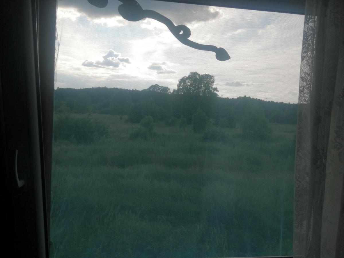 Ostoja Apartment Bialowieza Luaran gambar
