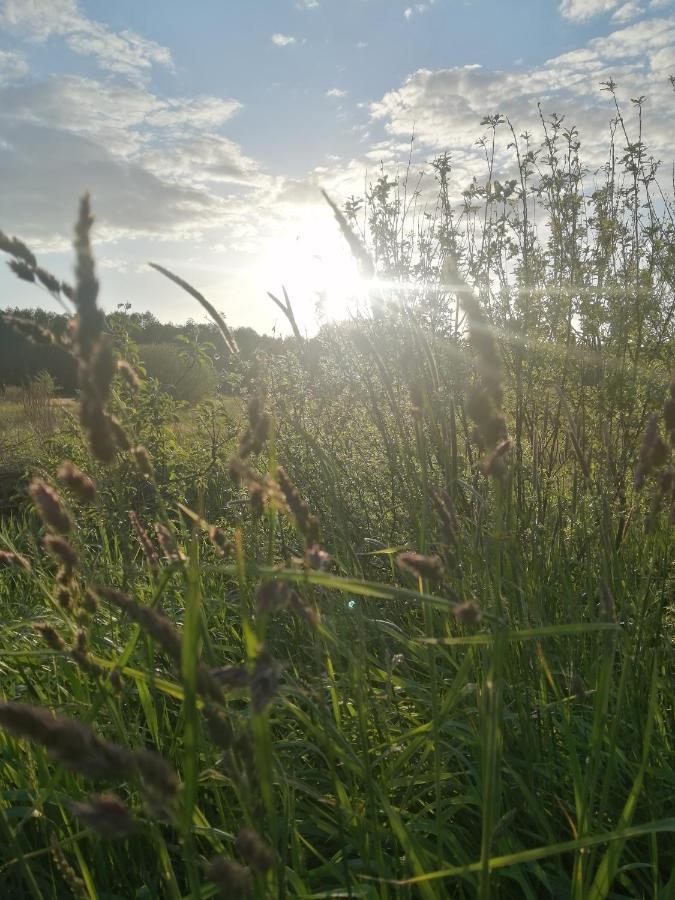 Ostoja Apartment Bialowieza Luaran gambar