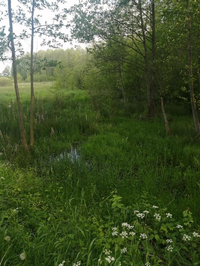 Ostoja Apartment Bialowieza Luaran gambar