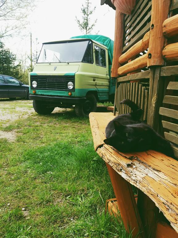 Ostoja Apartment Bialowieza Luaran gambar
