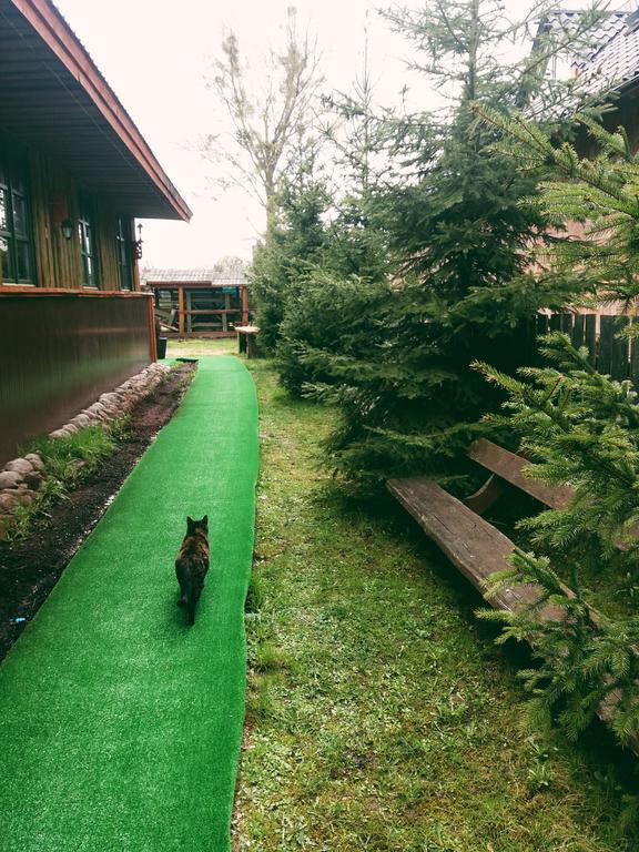 Ostoja Apartment Bialowieza Luaran gambar